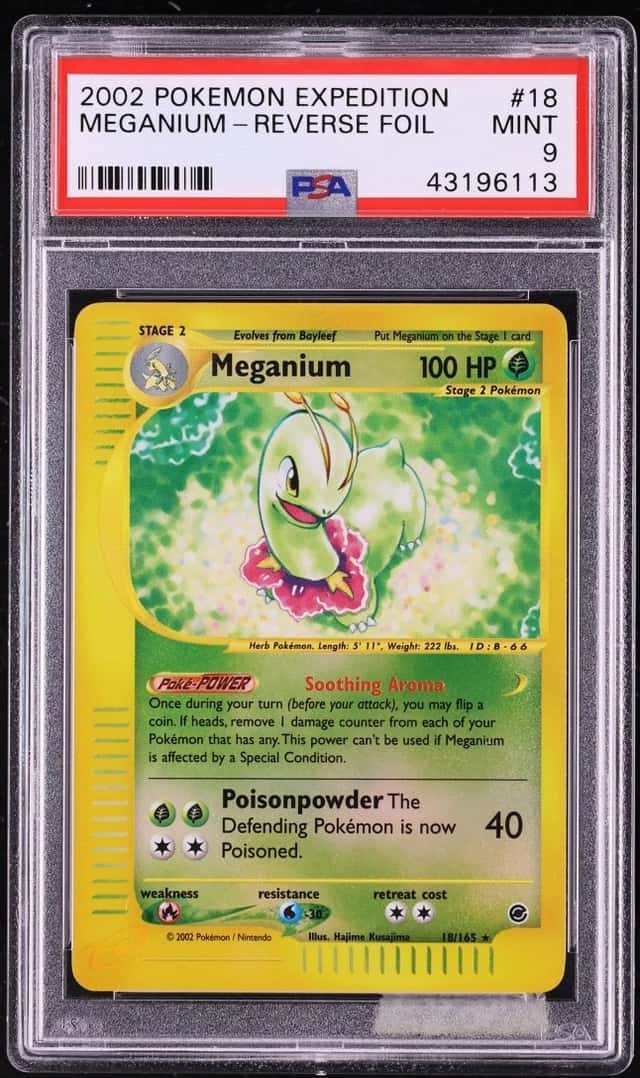 Meganium