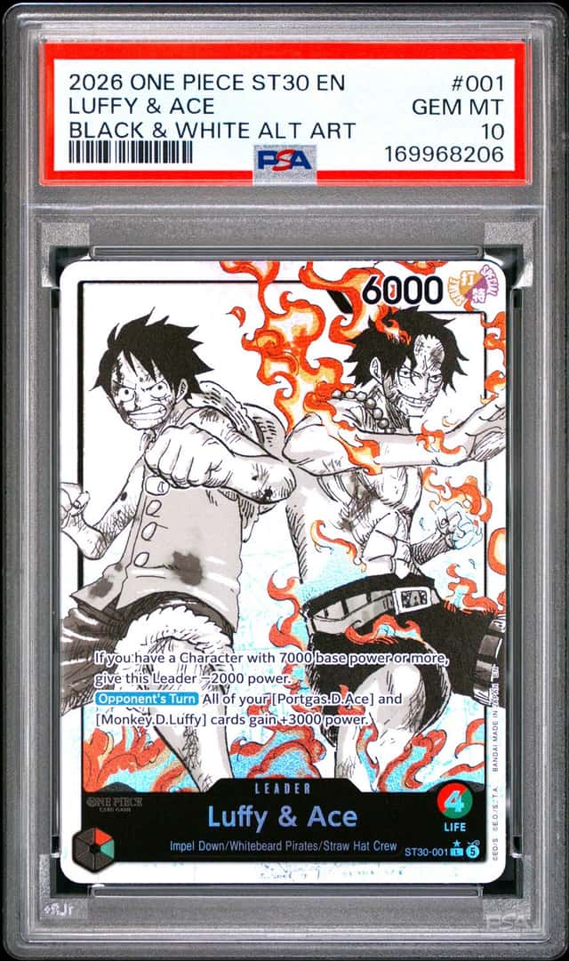 Luffy & Ace