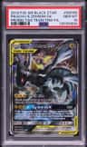 Pikachu & Zekrom Gx