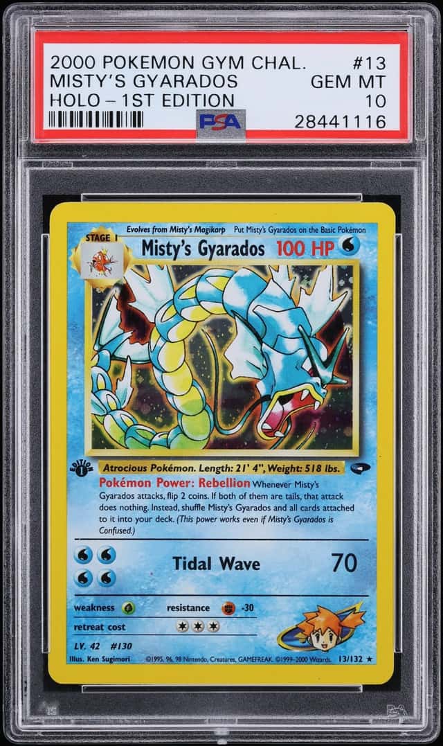 Misty's Gyarados
