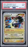 Lucario Lv X