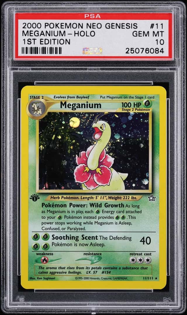 Meganium