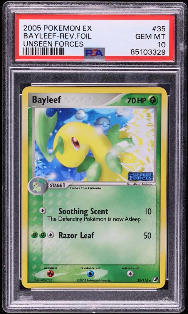 Bayleef