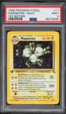 Magneton