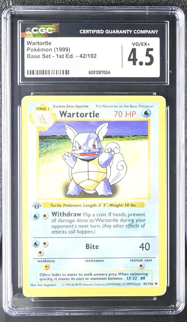 Wartortle