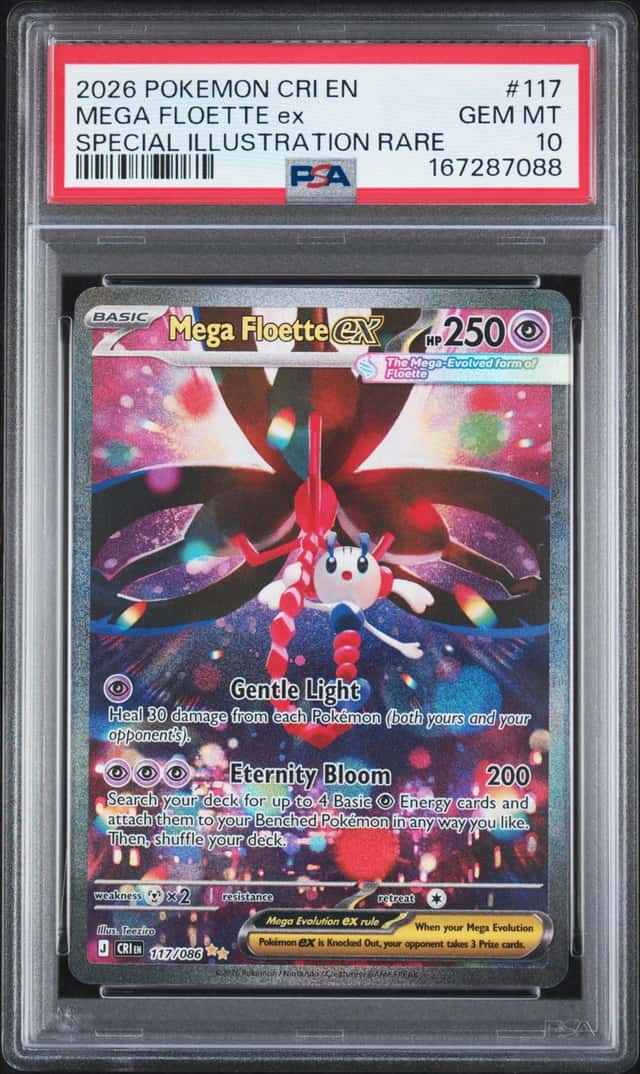 MEGA FLOETTE ex