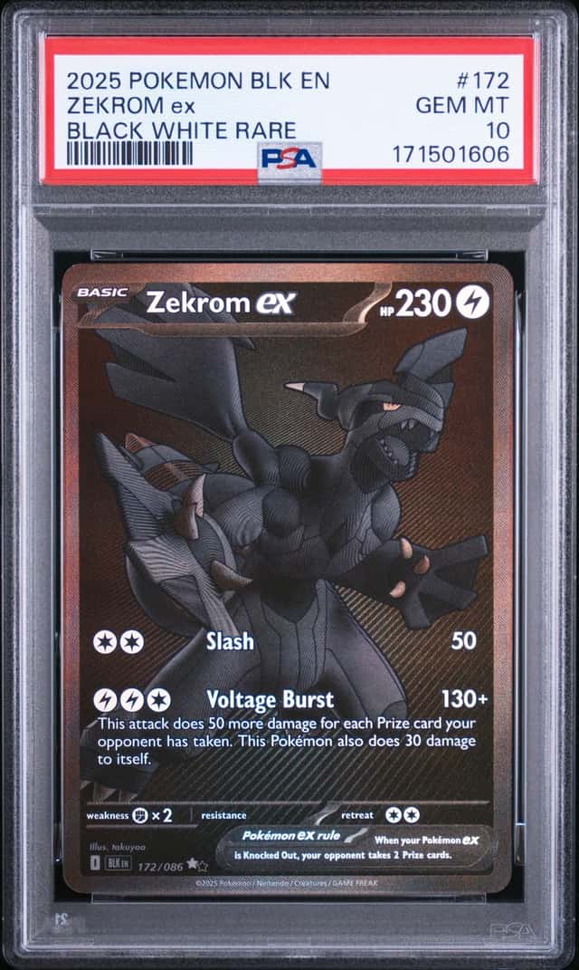 ZEKROM ex