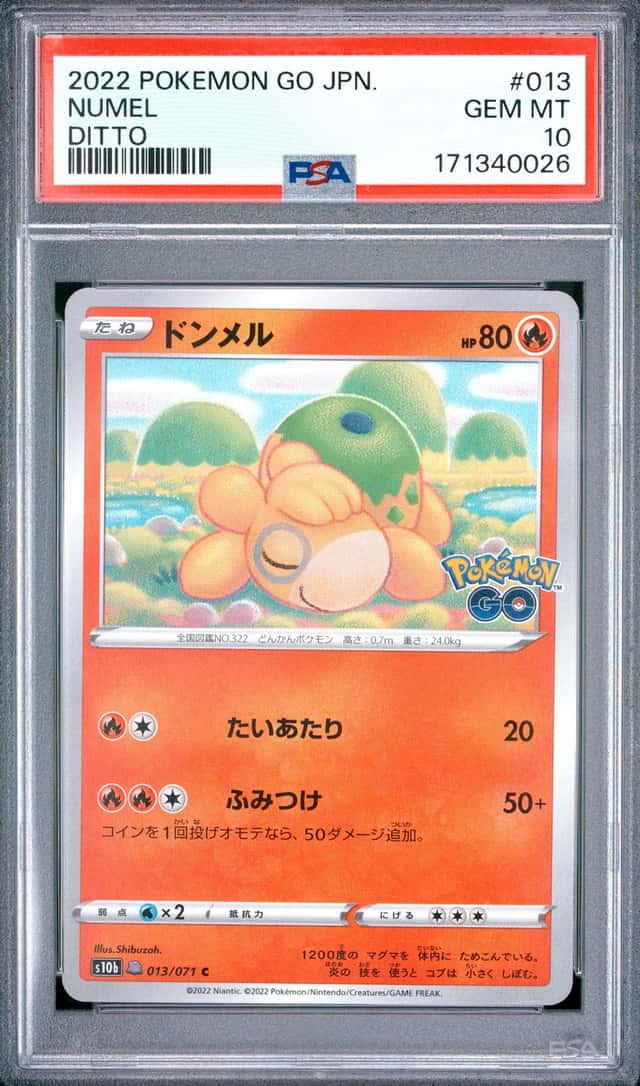 Numel