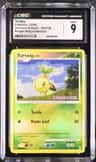 Turtwig
