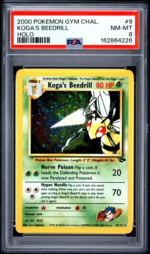 Koga's Beedrill