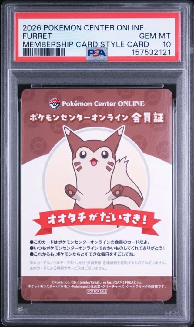 Furret