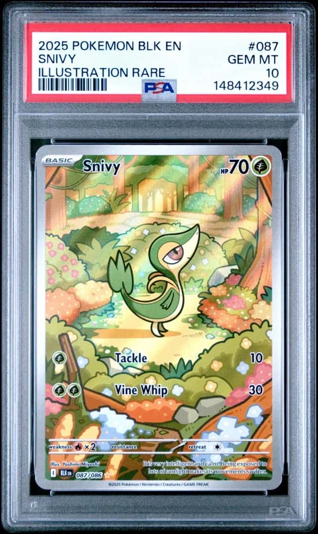 Snivy