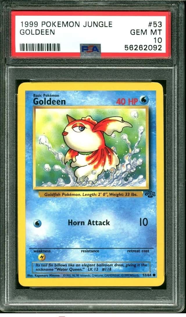 Goldeen
