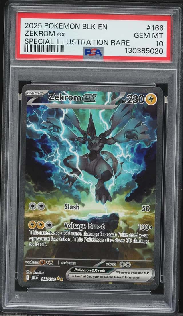 ZEKROM ex