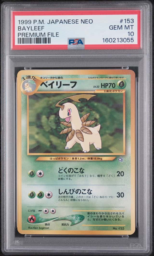 Bayleef