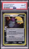 Nidoking δ