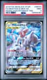 Mewtwo & Mew Gx