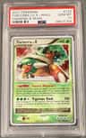 Torterra Lv X