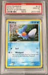 Mudkip