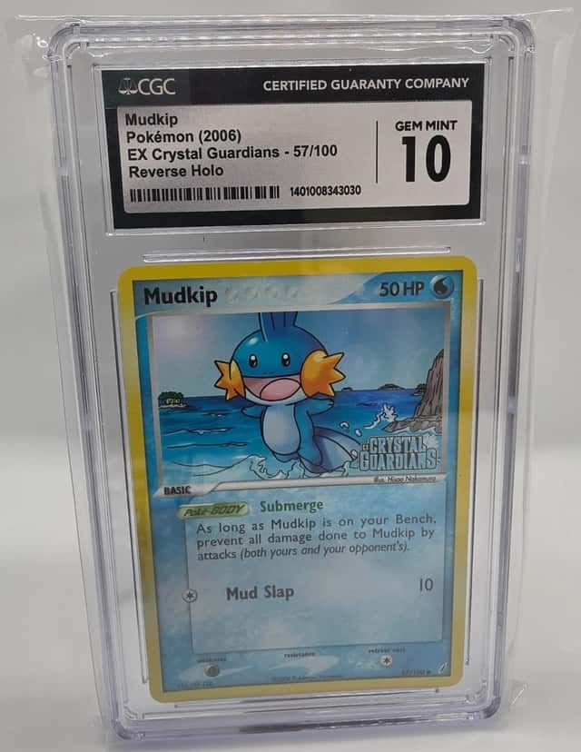 Mudkip