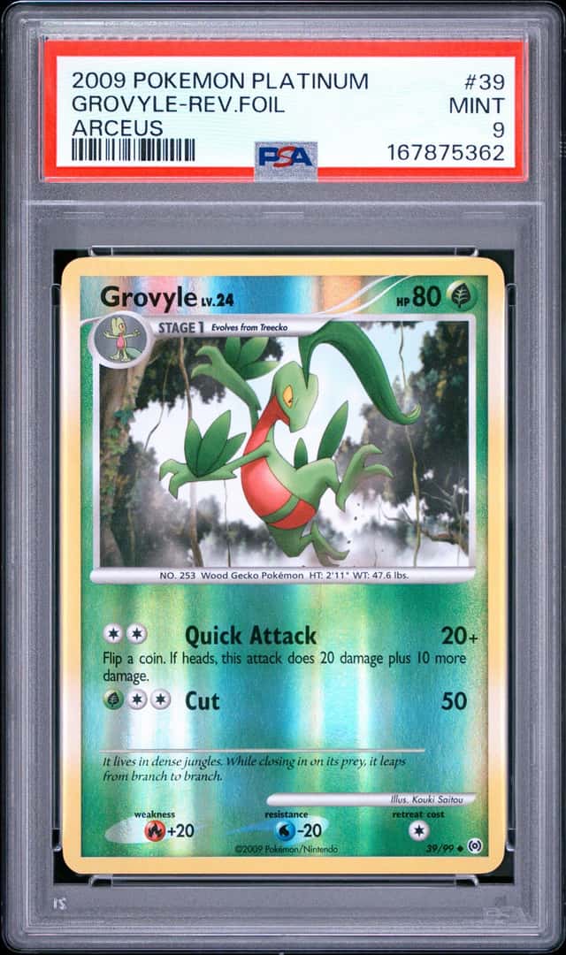 GROVYLE