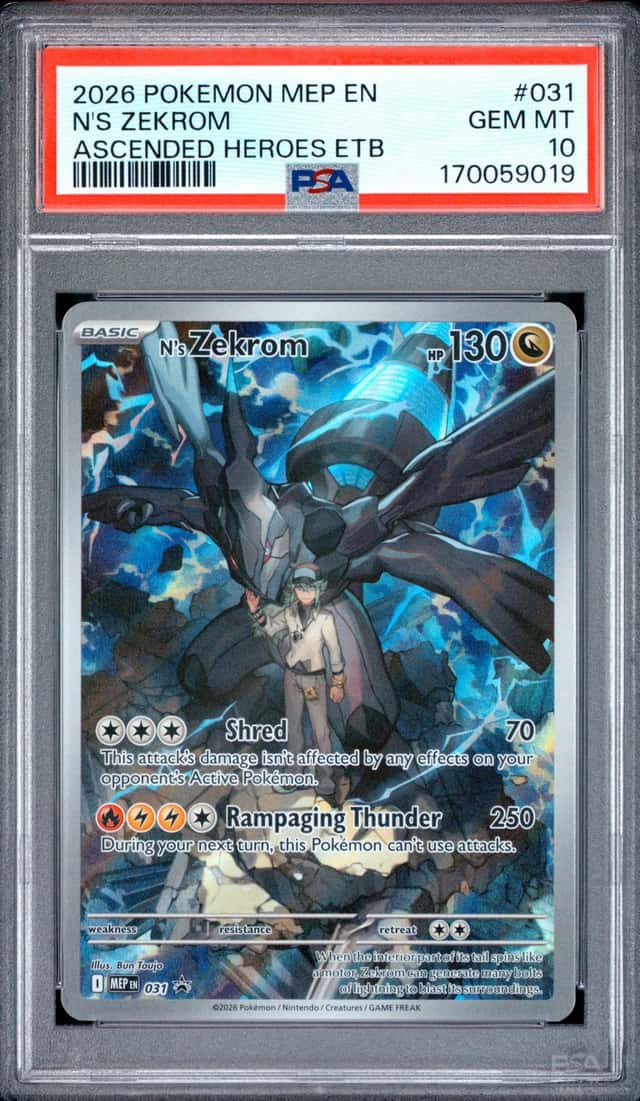 N's Zekrom