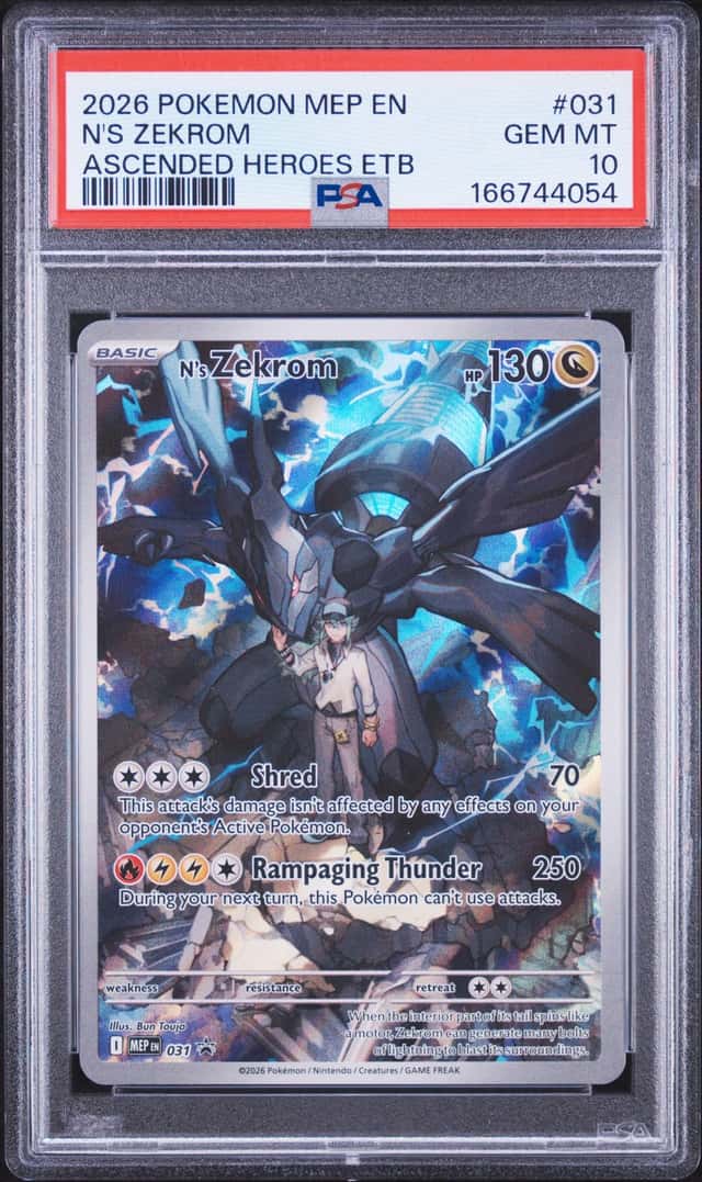 N's Zekrom