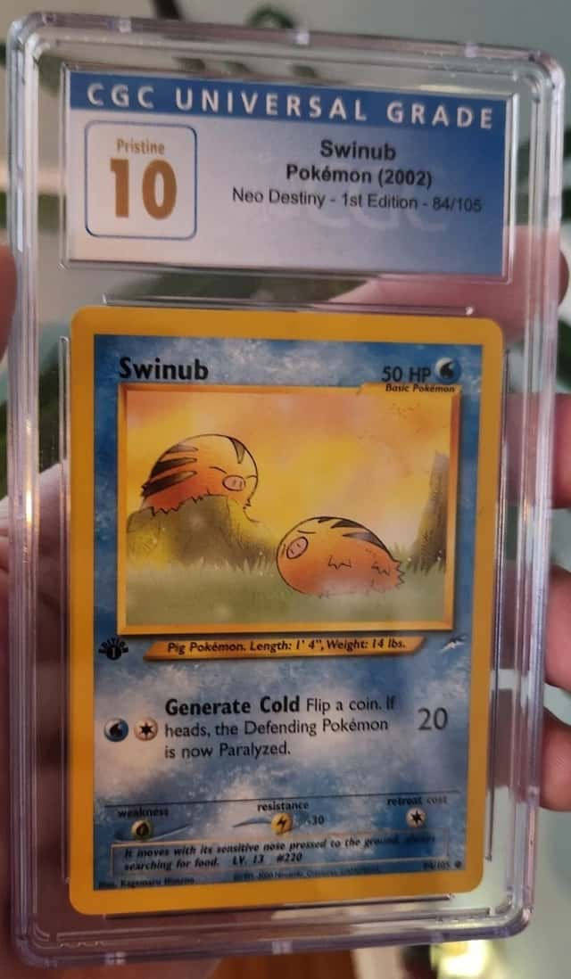Swinub