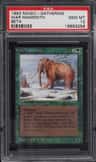 War Mammoth