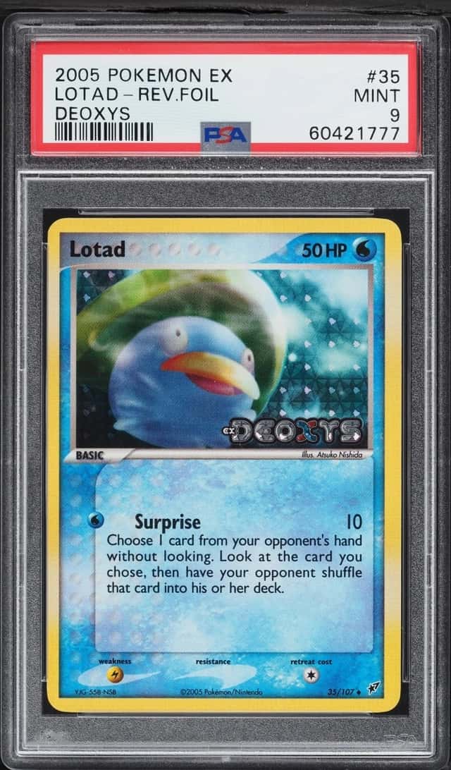 Lotad