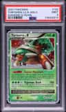 Torterra Lv X