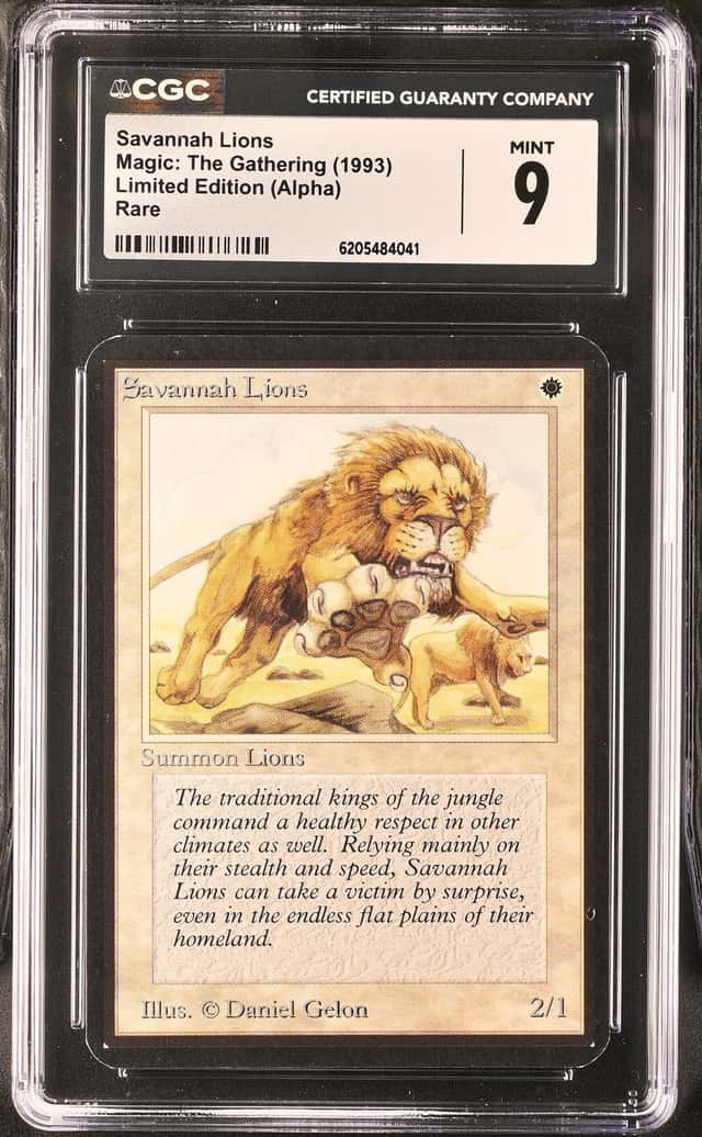 Savannah Lions