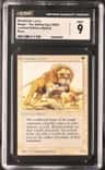 Savannah Lions