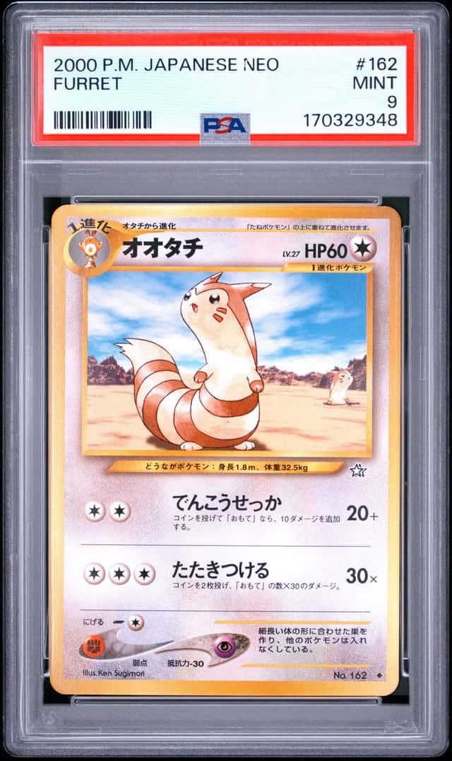 Furret