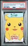 Pikachu'S Vacation