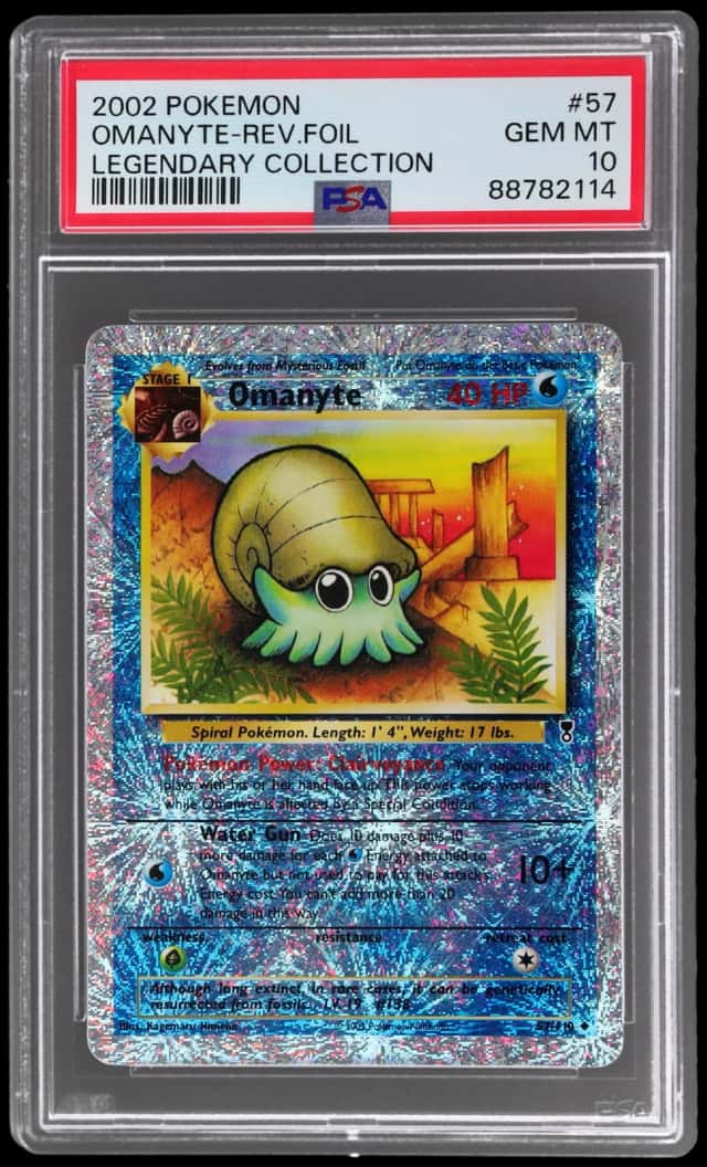 Omanyte
