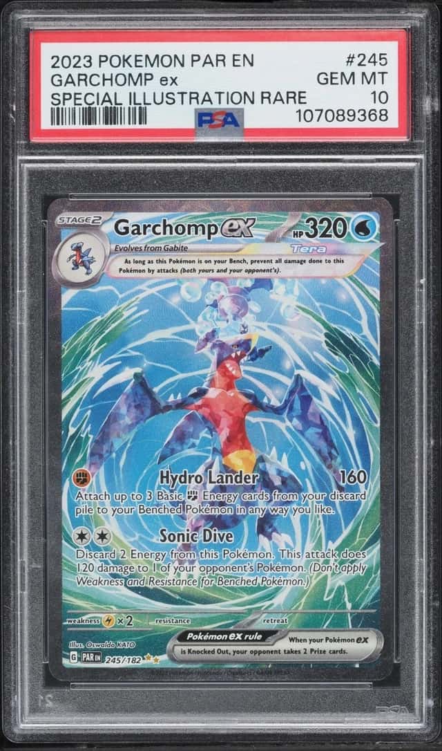 GARCHOMP ex