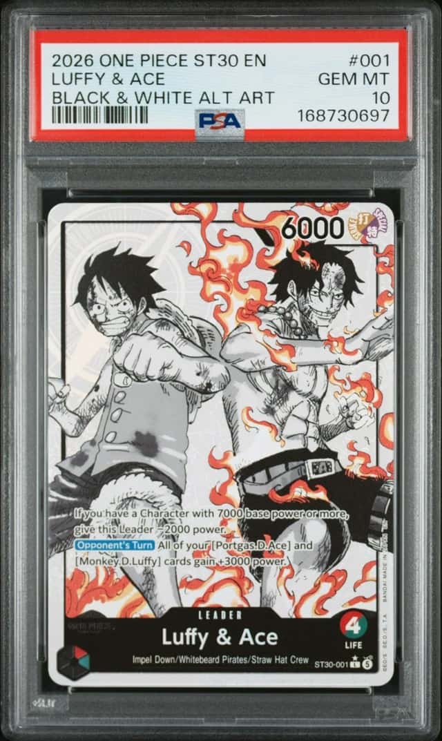 Luffy & Ace