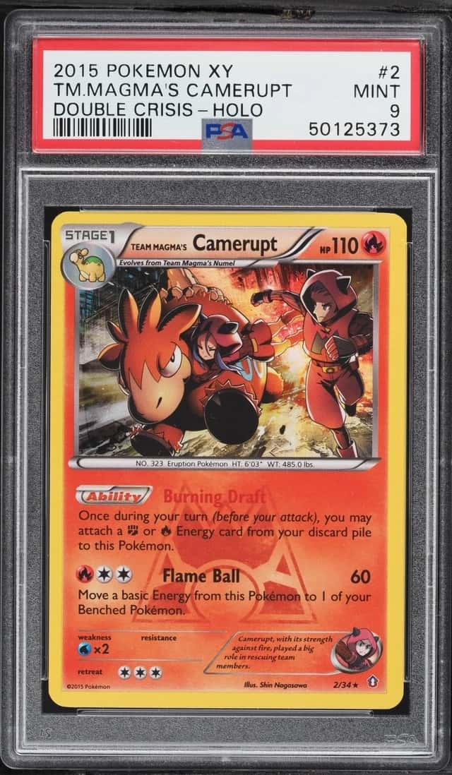 Team Magma's Camerupt