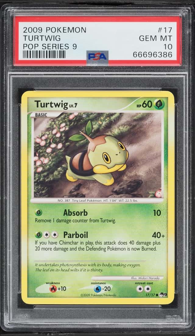 Turtwig