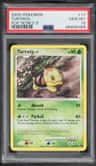 Turtwig
