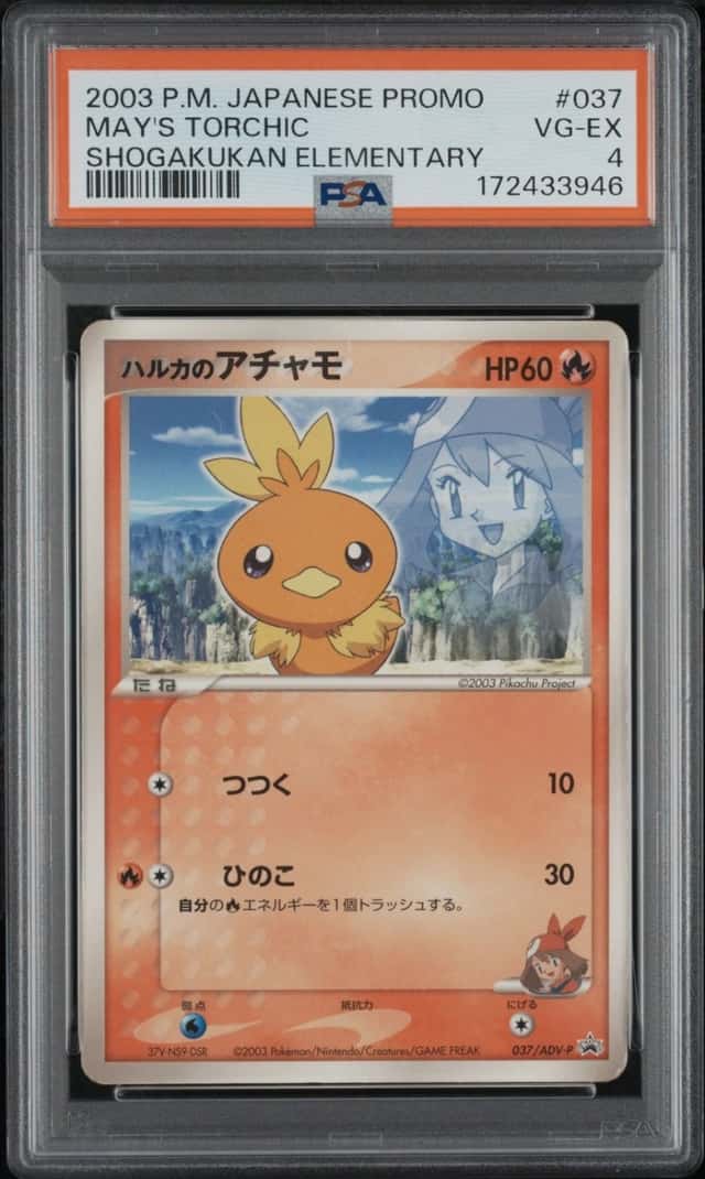 May's Torchic