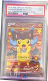Poncho-Wearing Pikachu