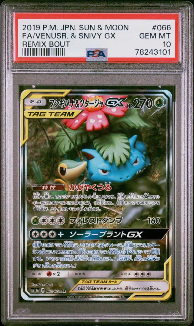Venusaur & Snivy GX