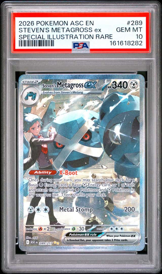 STEVEN'S METAGROSS ex