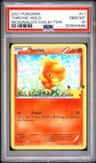 Torchic