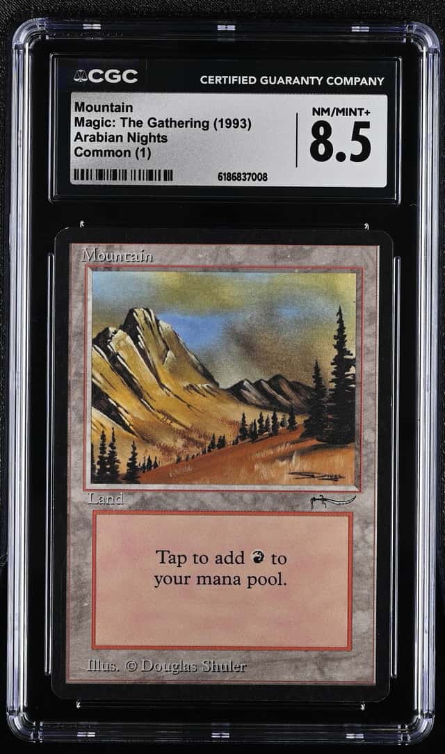 Mountain