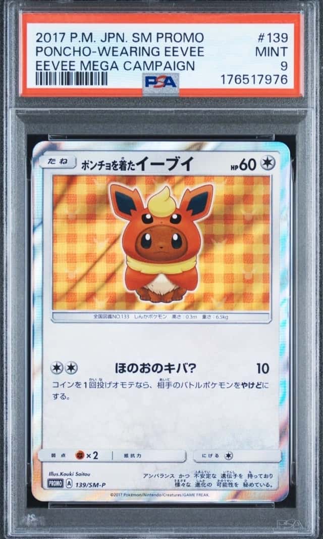 Poncho-Wearing Eevee