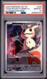 Team Rocket'S Mimikyu