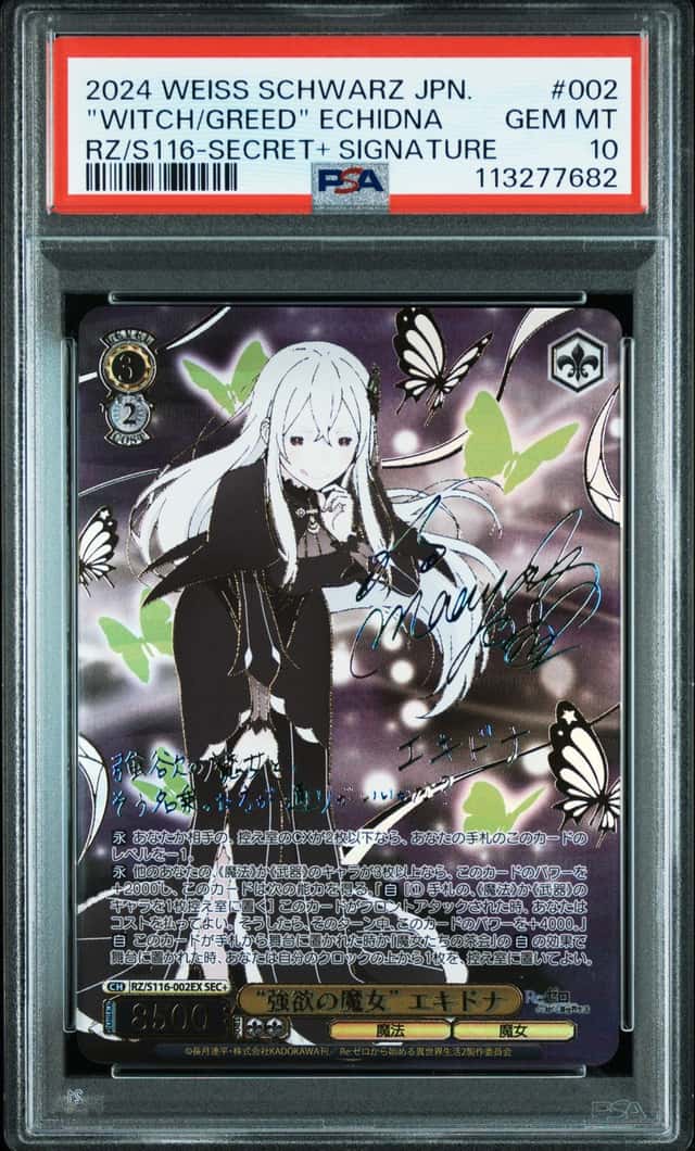 "Witch/Greed" Echidna